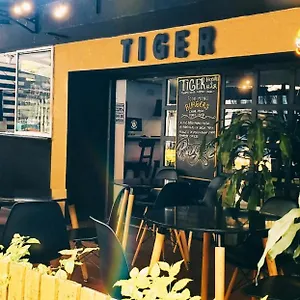 Auberge de jeunesse Tiger, Medellín